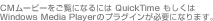 CM[r[ɂȂɂQuick TimeWindows Media Player̃vOCKvɂȂ܂B